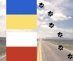 Tymczasowa procedura przemieszczania zwierząt towarzyszących z terytorium Ukrainy na teren Polski