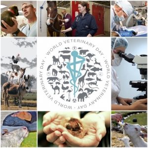Światowy Dzień Lekarza Weterynarii 2019
