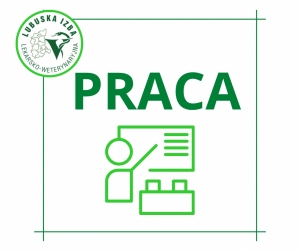 Oferta pracy w szkole